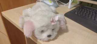 Peluche Perro Little Live Pets Corona Rosa