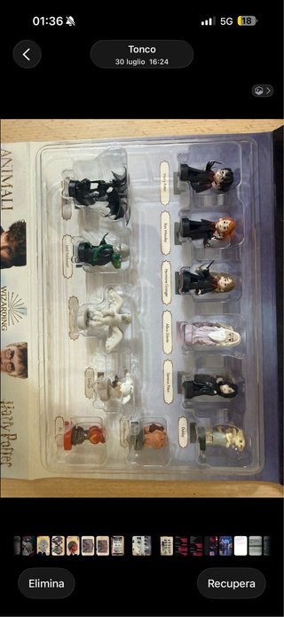 Collezione Harry Potter Animali Fantastici