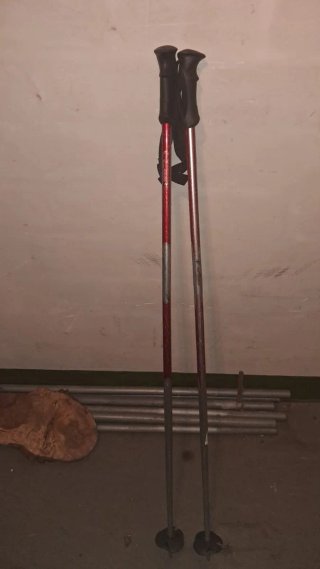 Conjunto Esquís Fischer Worldcup SL, Botas y Basto
