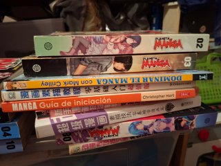 Lote mangas, revistas y manuales