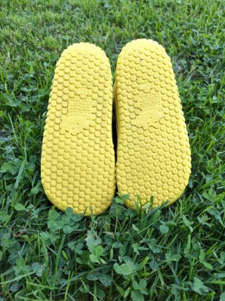 Bernia Zapato Feroz. Talla 27