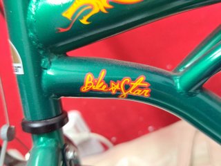Bicicleta infantil verde con llamas