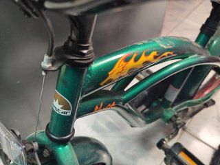Bicicleta infantil verde con llamas