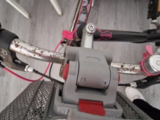 Bicicleta negra con cesta