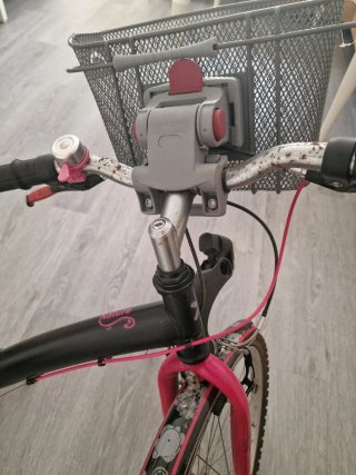 Bicicleta negra con cesta