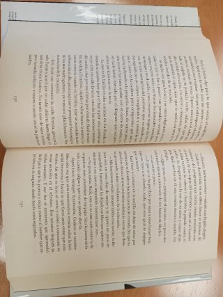 El último verano antes de todo