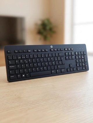 Teclado HP USB Slim KB PH0U Negro