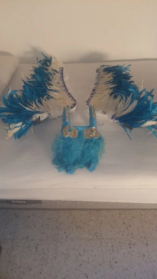 Alas de plumas desmontables