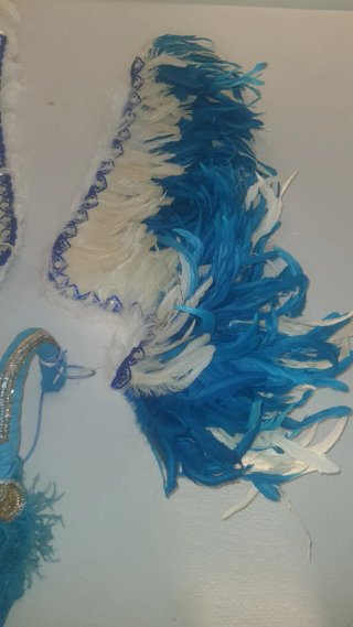 Alas de plumas desmontables