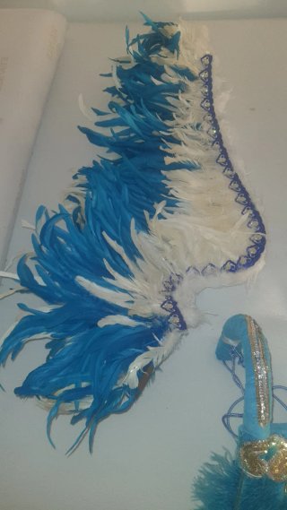 Alas de plumas desmontables