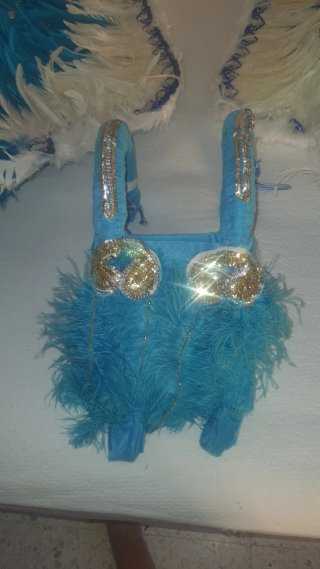 Alas de plumas desmontables