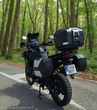 Honda Africa Twin 1100 Manual 2026