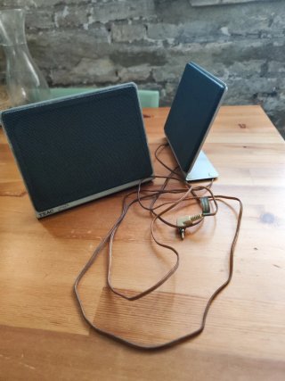 Altavoces de ordenador TEAC Negro/Gris