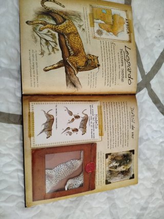 Animales de la sabana (Mi primera guía de campo)