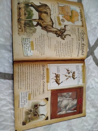Animales de la sabana (Mi primera guía de campo)