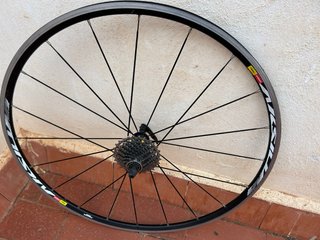 Rueda Mavic Aksium Trasera con Cassette Shimano