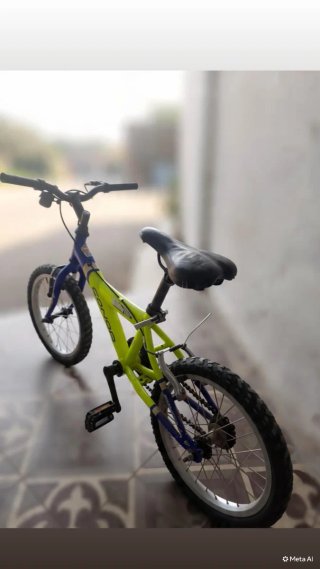 Bicicleta infantil verde y azul
