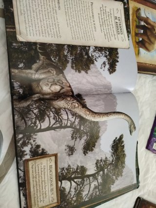 Los secretos de los dinosaurios historias incre...