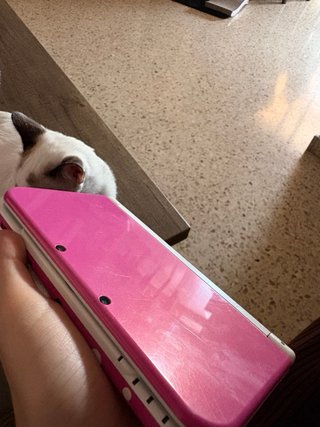 Nintendo New 3DS XL Rosa