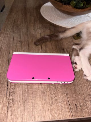 Nintendo New 3DS XL Rosa