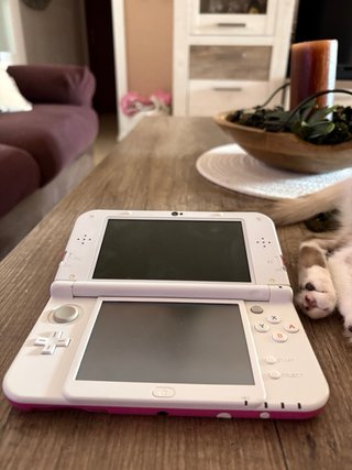 Nintendo New 3DS XL Rosa