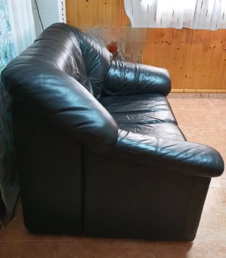 Sofá de piel de 2 plazas