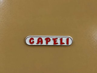 Cámara frigorífica Capeli completa