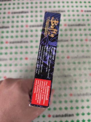 Buffy the Vampire Slayer Game Boy Color