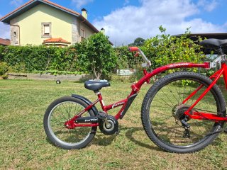 Bicicleta Tándem WeeRide ProPilot Roja