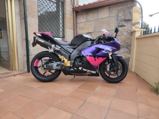 Kawasaki ZX10R 2007 Sportbike Morado/Rosa