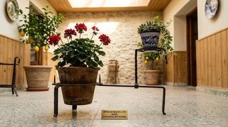 Conjunto Maceteros Forja- Decorativos y practicos