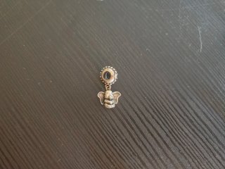 Charms Pandora Plata