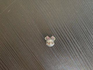 Charms Pandora Plata