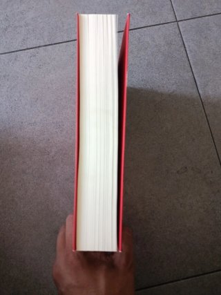 EL LIBRO ROJO  CARL GUSTAV JUNG