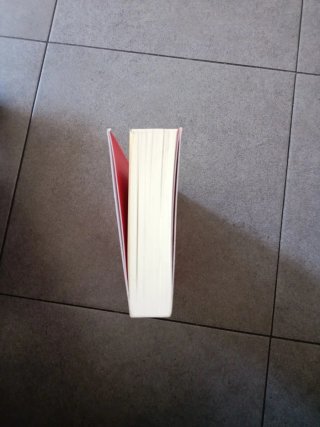 EL LIBRO ROJO  CARL GUSTAV JUNG