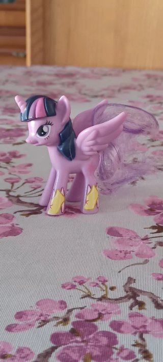 Pony