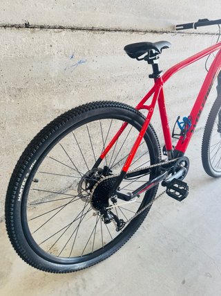 Bicicleta Montaña