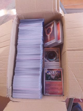 Lote Cartas Pokémon