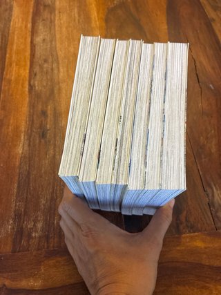 RAN Y EL MUNDO GRIS colección completa