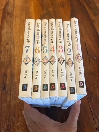 RAN Y EL MUNDO GRIS colección completa