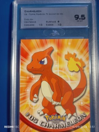 Charmander, Charmeleon, Charizard label black