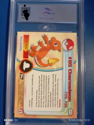 Charmander, Charmeleon, Charizard label black