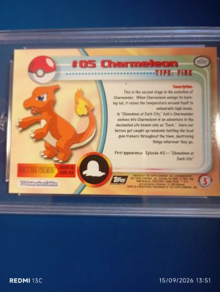 Charmander, Charmeleon, Charizard label black