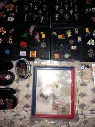 Colección de pins