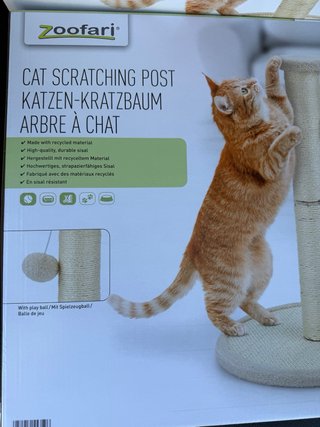 Árbol Rascador para Gatos Nuevo