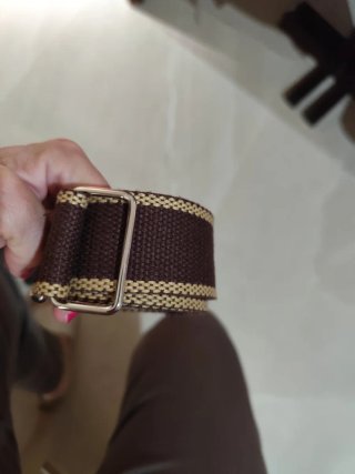 Cintura marrone con dettagli oro