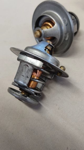 Termostato Nissan Primera P10