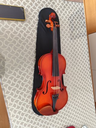 Viola Sielam 15 pulgadas 2017