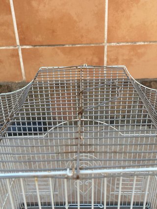 Jaula para pájaros