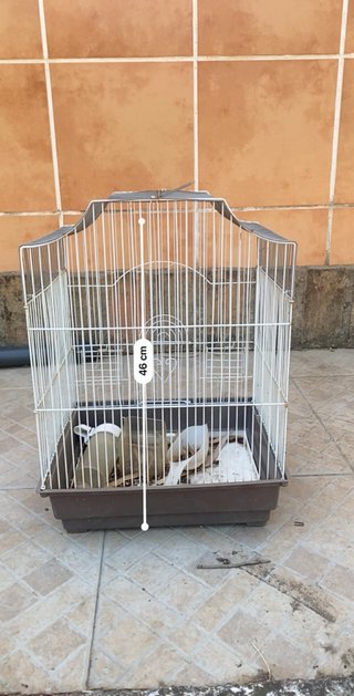 Jaula para pájaros